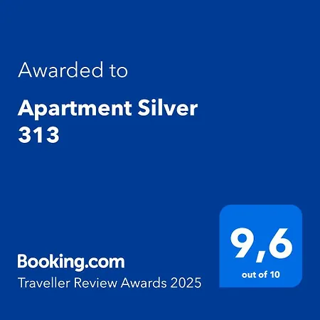 Silver 313 Апартаменты *