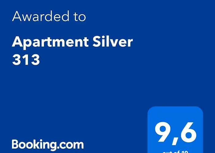 Silver 313 Апартаменты *